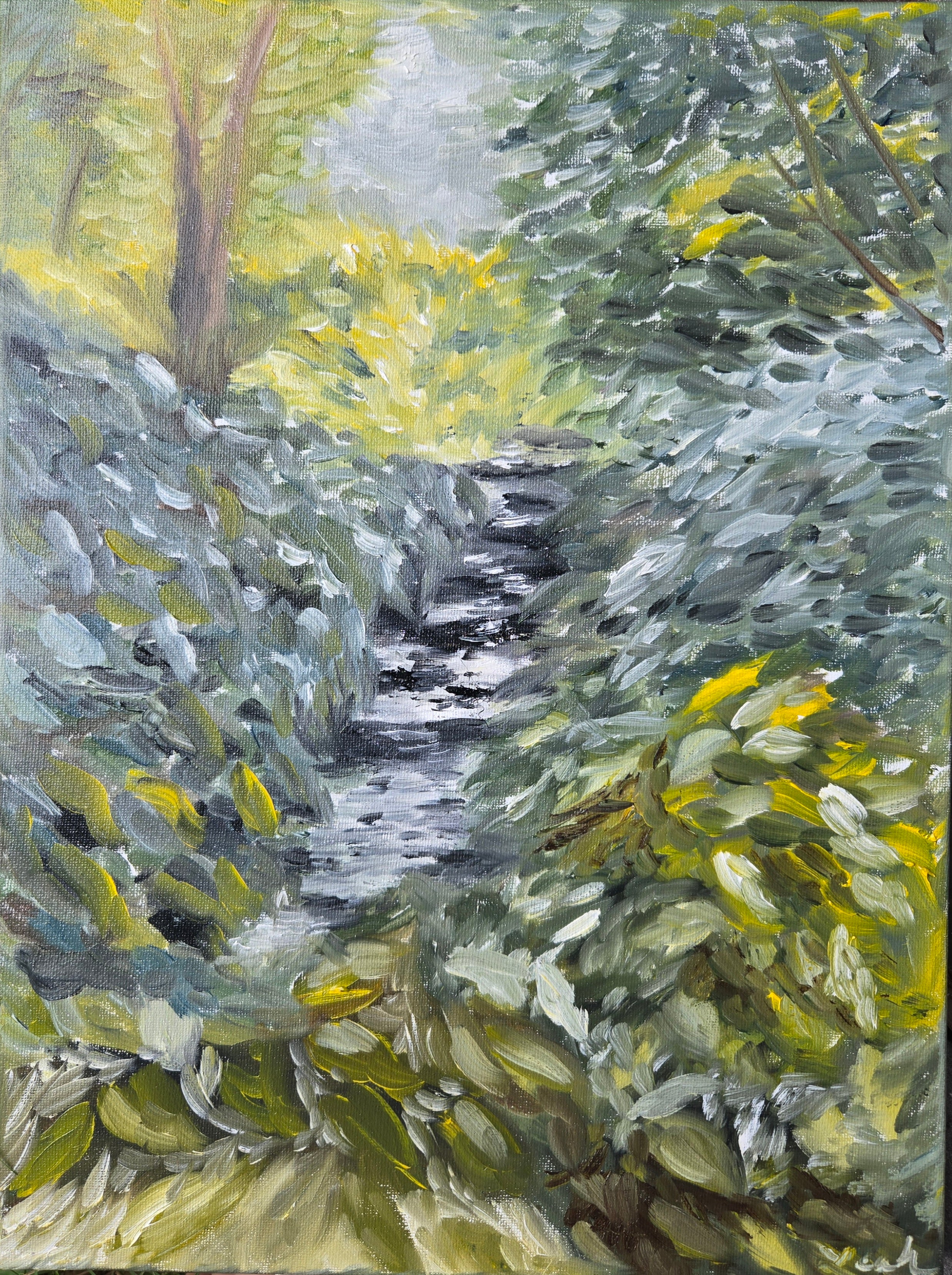 Sunlit Forest Creek Original Oil Painting
