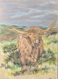 Highland Cow Original Oil Pastel on Velour Paper