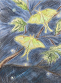 Luna Moths at Night Original Oil Pastel on Velour Paper — SOLD