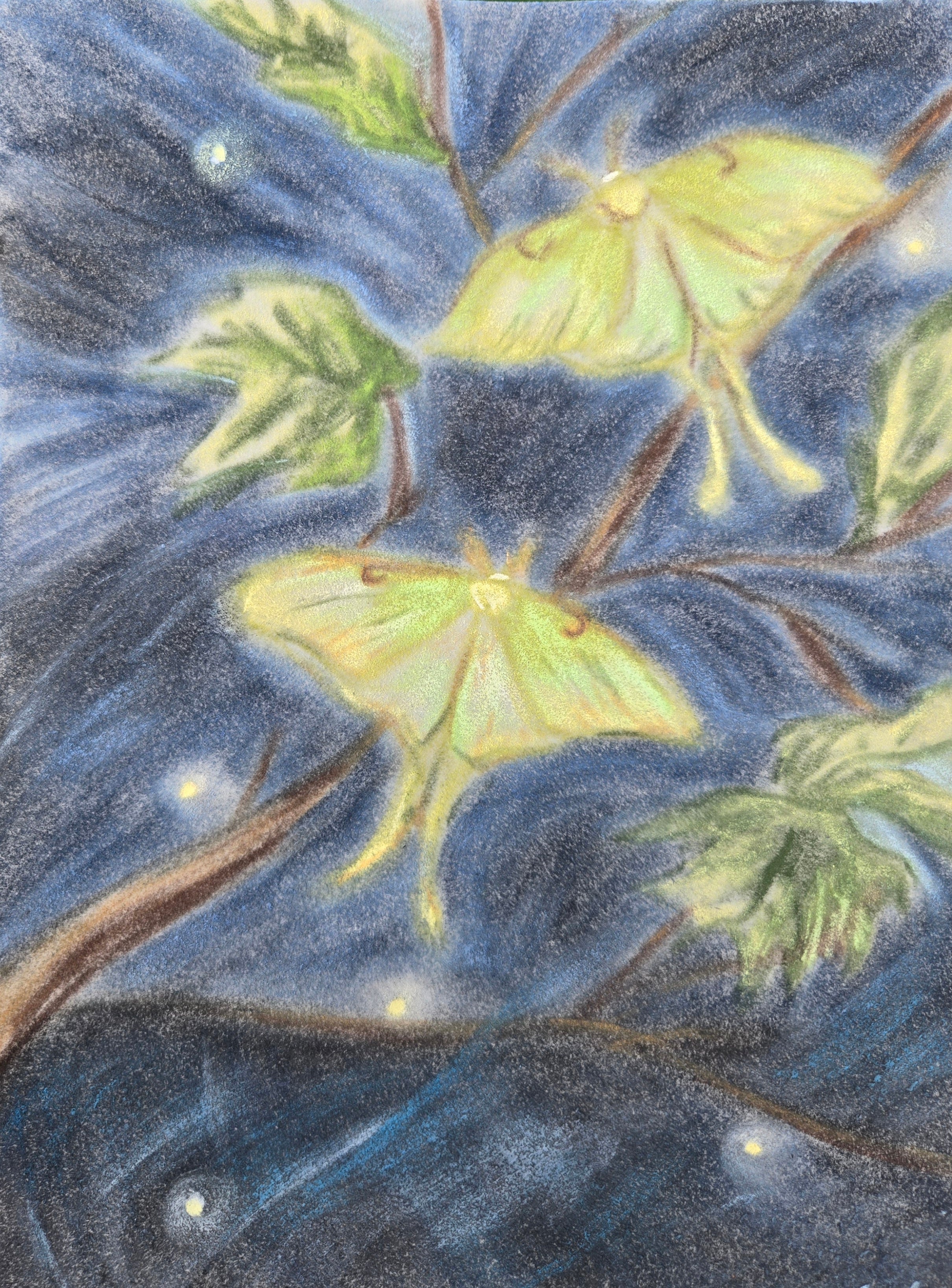 Luna Moths at Night Original Oil Pastel on Velour Paper — SOLD