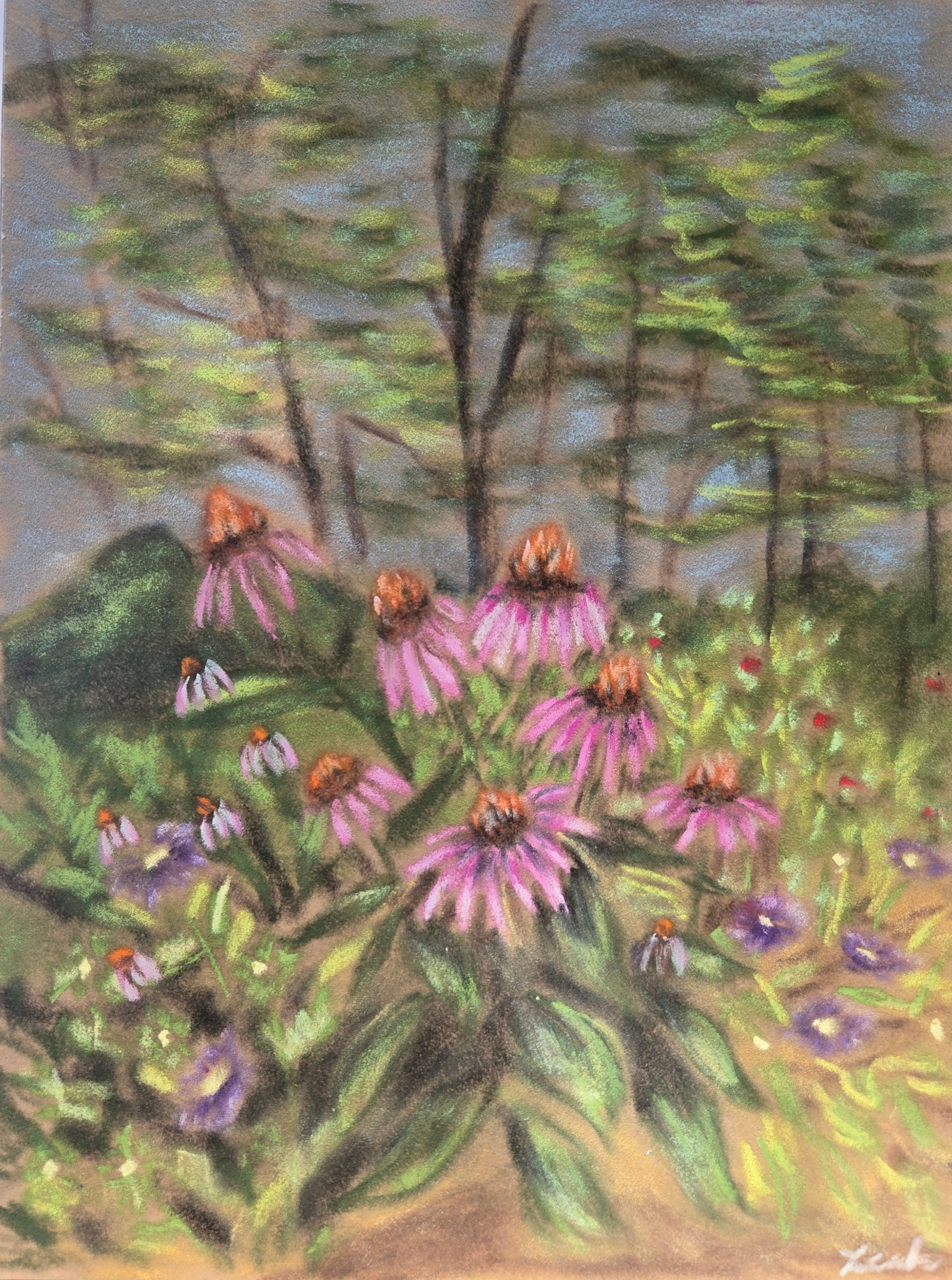 Coneflowers Original Oil Pastel on Velour Paper