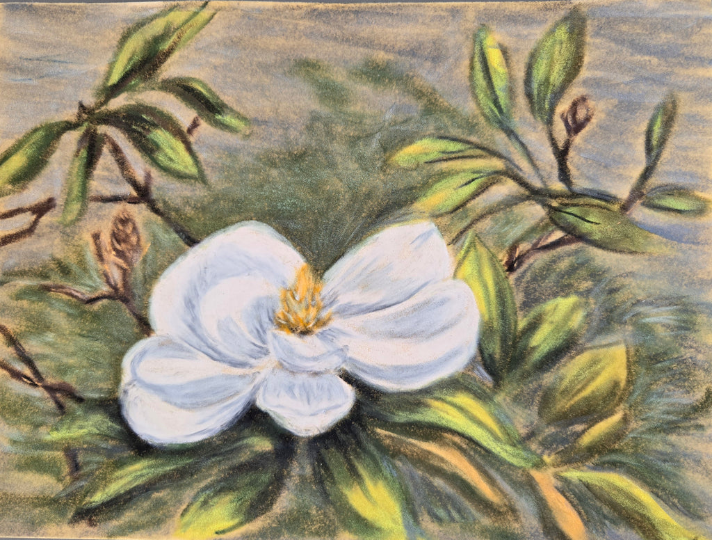 Magnolia Original Oil Pastel on Velour Paper