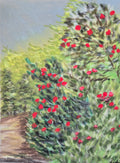 Red Flowering Bushes Original Oil Pastel on Velour Paper
