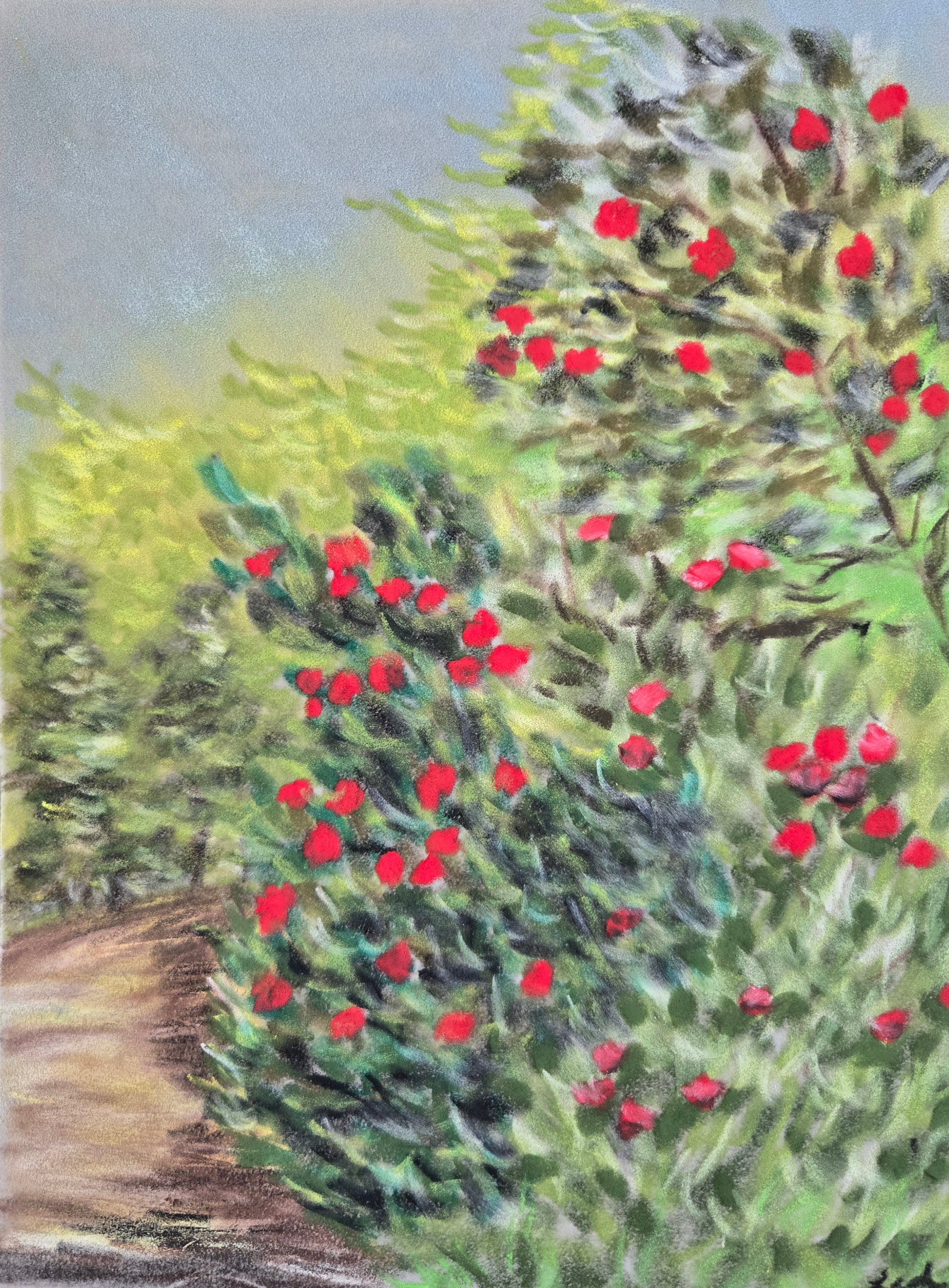 Red Flowering Bushes Original Oil Pastel on Velour Paper