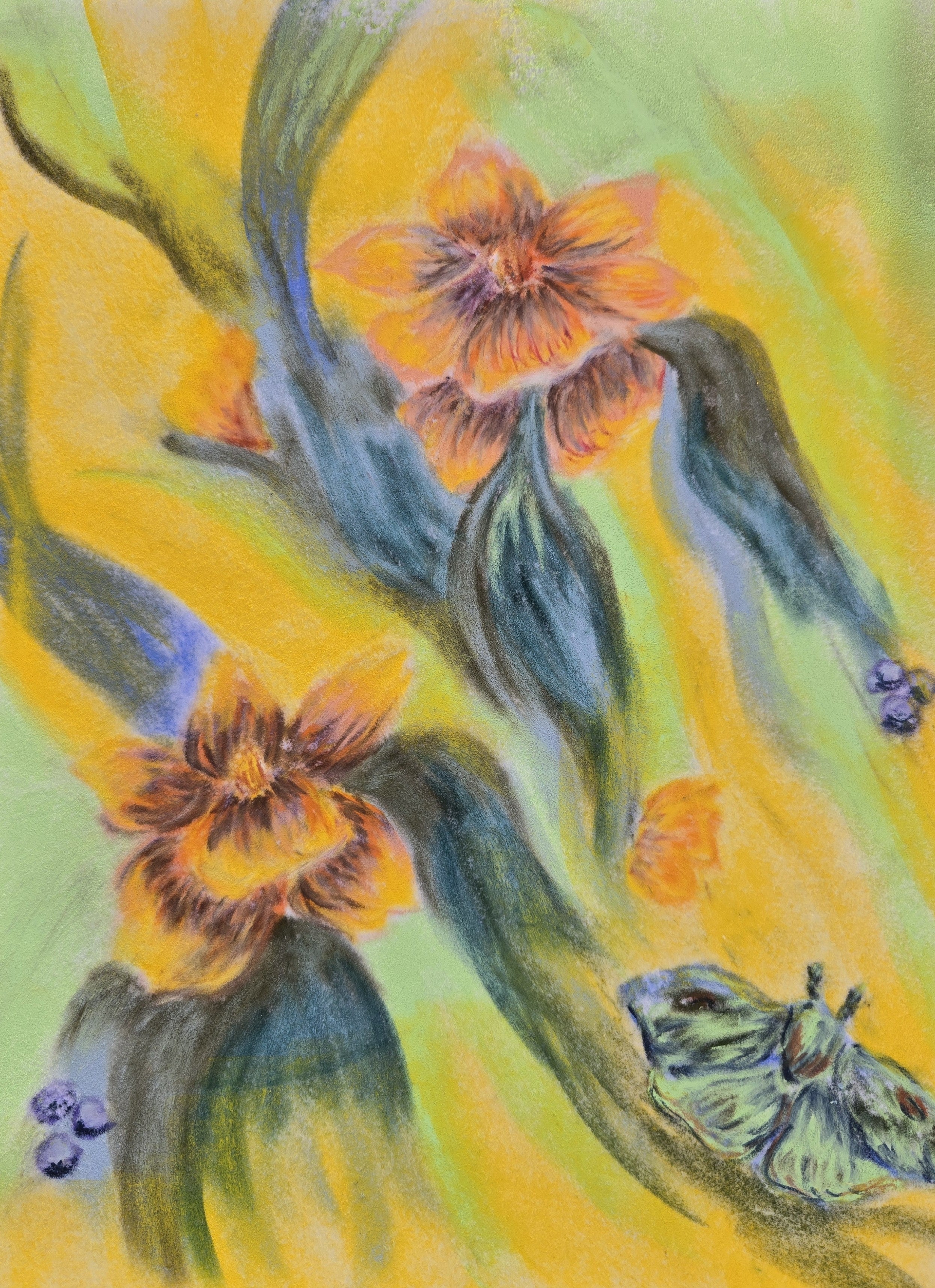 Daffodils & Moth Original Oil Pastel on Velour Paper