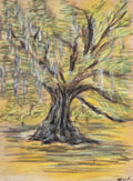 Oak Tree Memory  Original Oil Pastel on Velour Paper