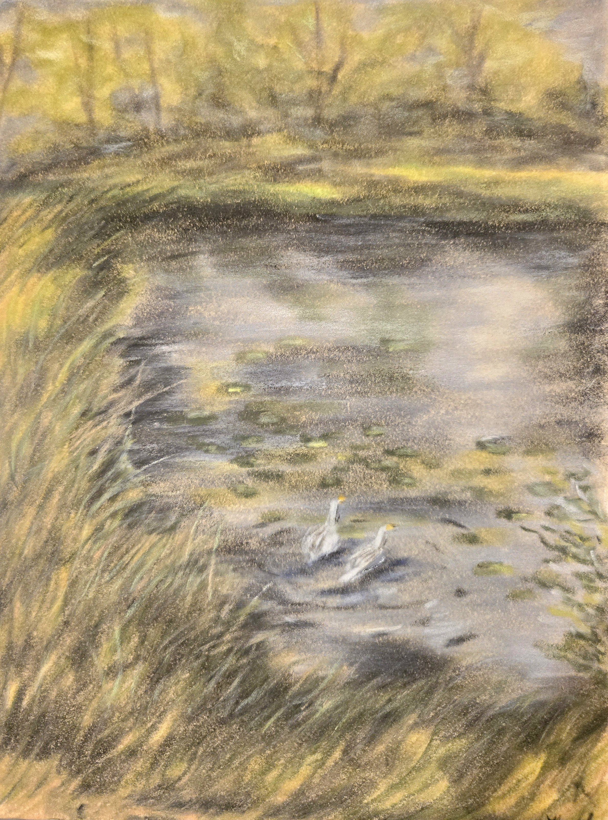 Autumn pond with white ducks, oil pastel on velour paper, 9x12 inches, by Leah Welch